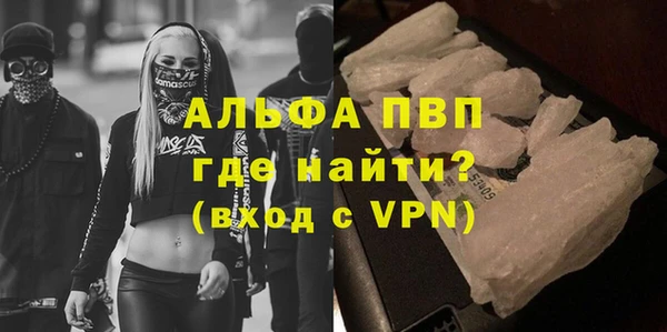 гидра Няндома