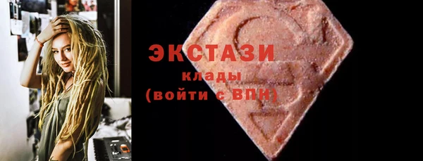 гидра Няндома