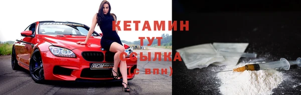 гидра Няндома