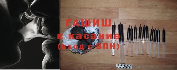 гидра Няндома