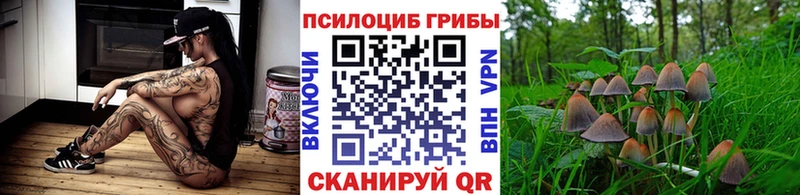 Галлюциногенные грибы мухоморы  Купить  Козловка 